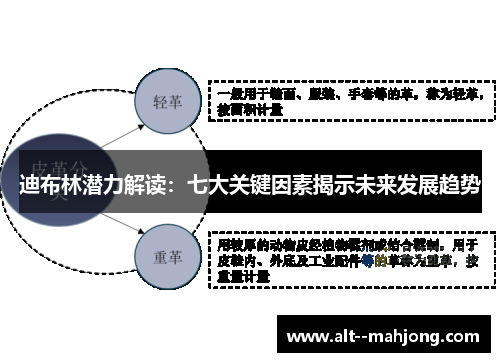 迪布林潜力解读:七大关键因素揭示未来发展趋势 迪布林潜力解读:七大关键因素揭示未来发展趋势