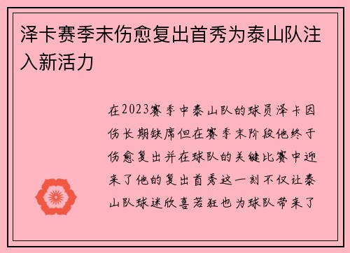 泽卡赛季末伤愈复出首秀为泰山队注入新活力